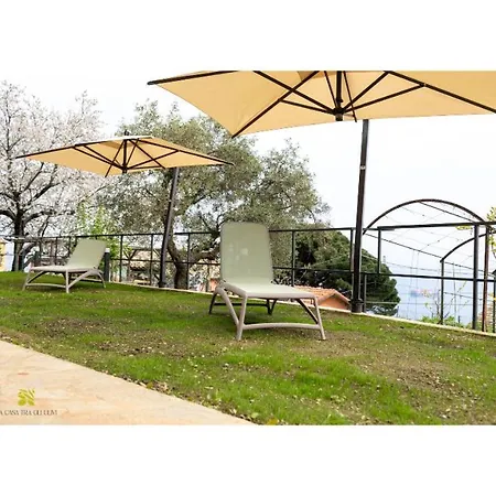 La Casa Tra Gli Ulivi Apartment