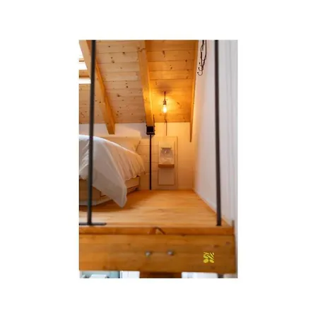 Appartamento La Casa Tra Gli Ulivi