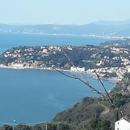 La Casa Tra Gli Ulivi