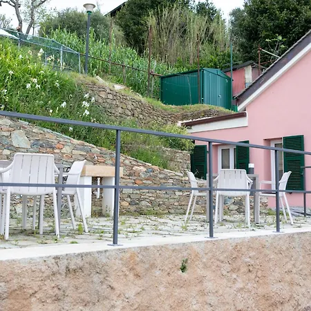 La Casa Tra Gli Ulivi *