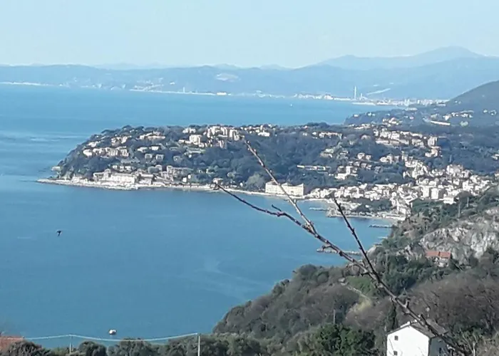 La Casa Tra Gli Ulivi