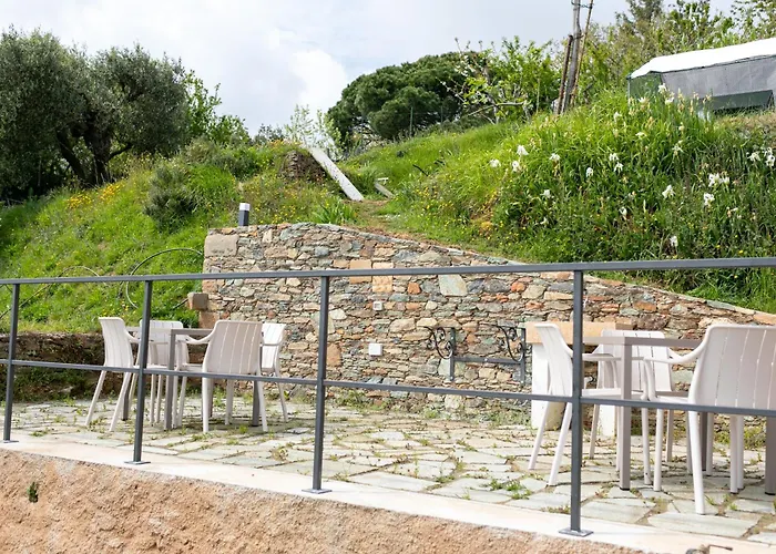 La Casa Tra Gli Ulivi Appartement *