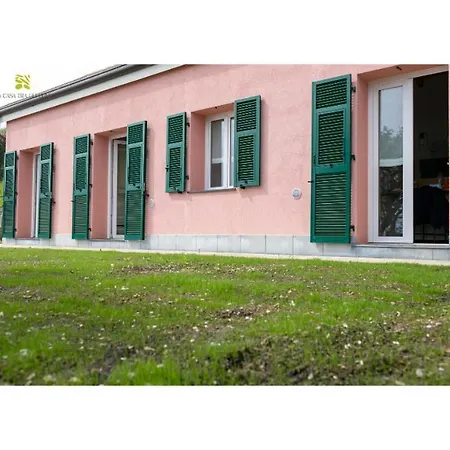 La Casa Tra Gli Ulivi *