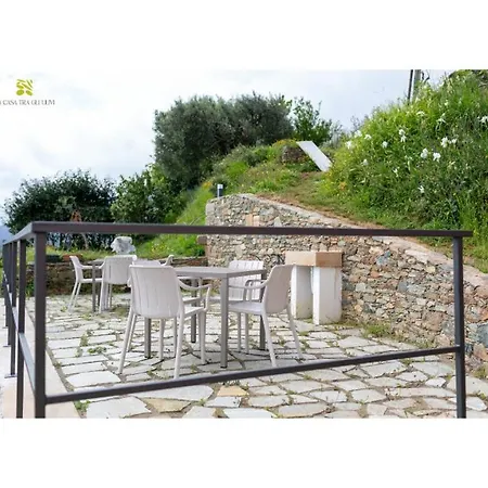 La Casa Tra Gli Ulivi *