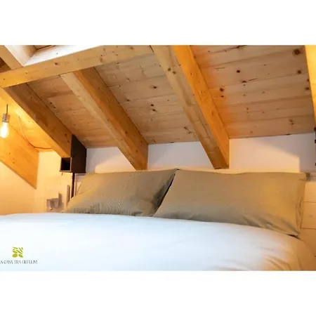 La Casa Tra Gli Ulivi Apartament *