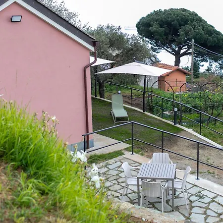 La Casa Tra Gli Ulivi