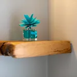 La Casa Tra Gli Ulivi Apartmán *